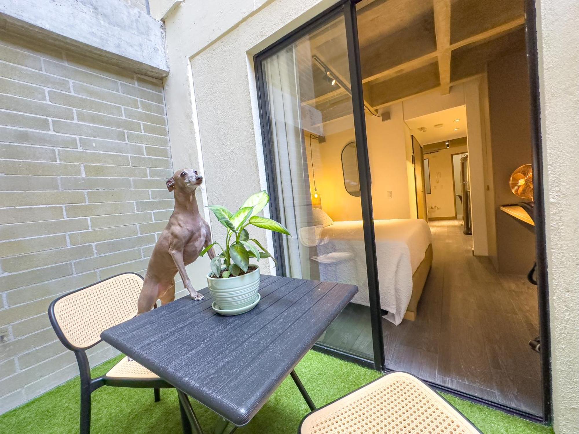 B 48 Living By B Rent Apartment Medellin Exterior photo